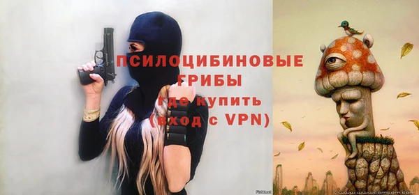 молекула духа Весьегонск