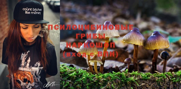 Альфа ПВП Медногорск