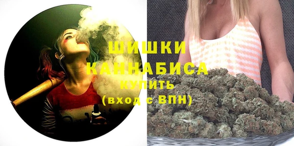 Альфа ПВП Медногорск