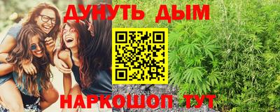 крисы Донской