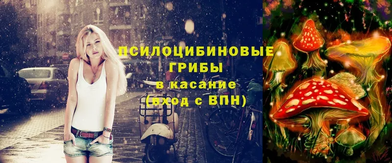 Галлюциногенные грибы Magic Shrooms  Шадринск 