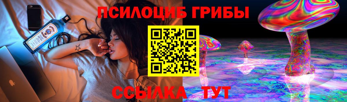 Галлюциногенные грибы Psilocybe Шадринск